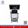 Máy siêu âm 5D Sonoscape P15 cải tiến - tiêu chuẩn FDA Mỹ